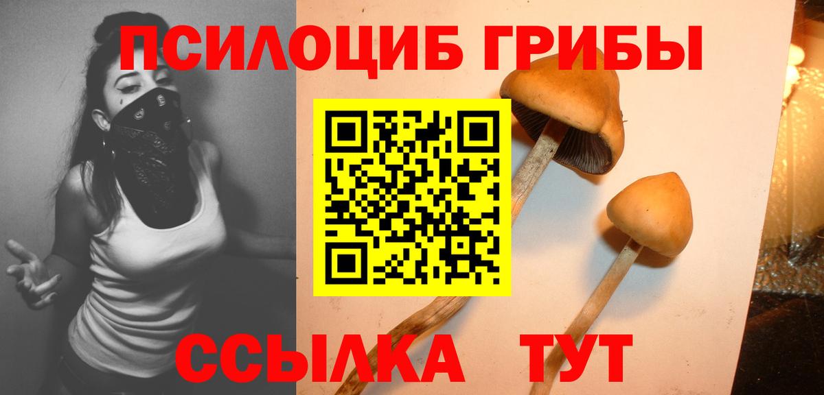 Муравленко  Галлюциногенные грибы ЛСД  Вход с VPN 